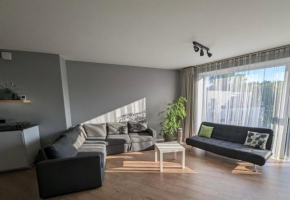 Spacious and sunny apartment in Birstonas center